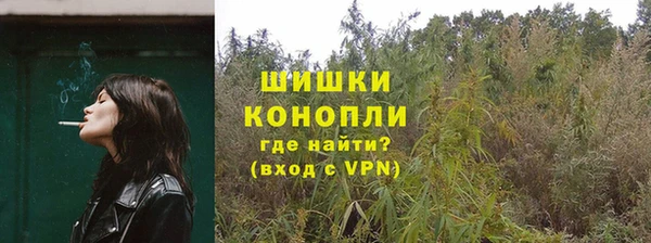 ПСИЛОЦИБИНОВЫЕ ГРИБЫ Новокубанск