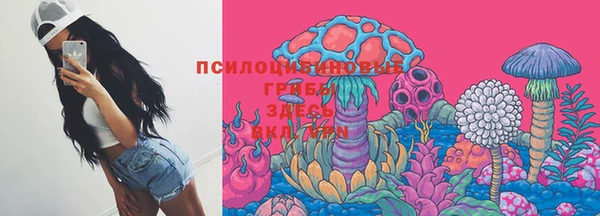прущая мука Новозыбков