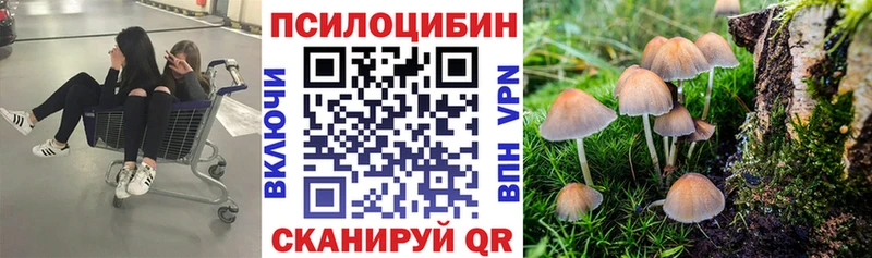 Псилоцибиновые грибы GOLDEN TEACHER  где можно купить наркотик  mega ССЫЛКА  Урус-Мартан 